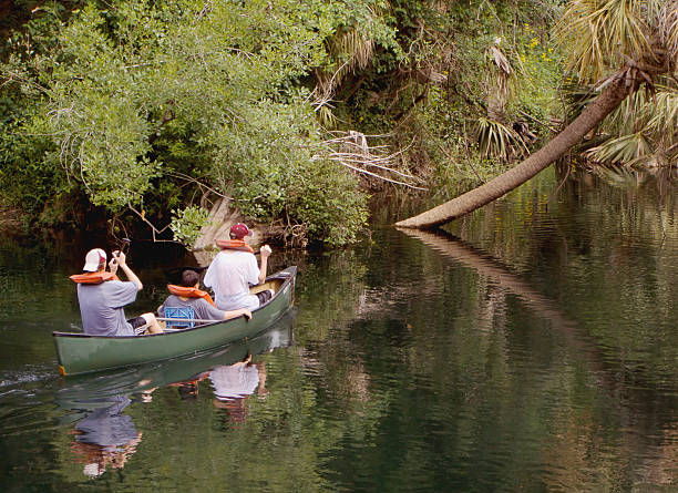 istock Paddling Canoe on Hillsborough River in Florida 172260430