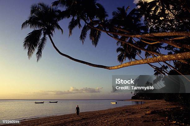 Photo libre de droit de Plage Fidjien banque d'images et plus d'images libres de droit de Adulte - Adulte, Arbre, Arbre tropical