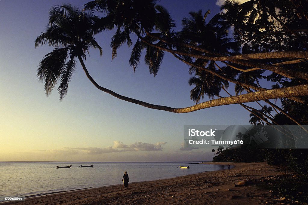 Fiji Beach - Foto de stock de Adulto royalty-free