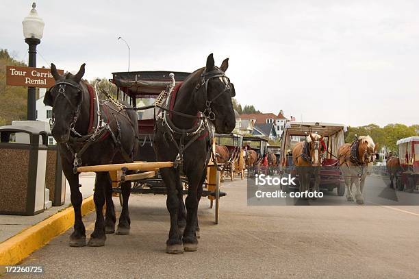 Horse Traffic Stock Photo - Download Image Now - Mackinac Island, Carriage, American Culture