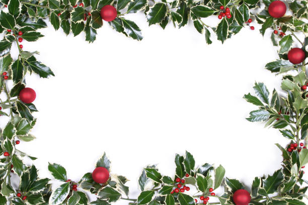 Holly Series Variegated holly frame with Christmas baubles. floral garland photos stock pictures, royalty-free photos & images