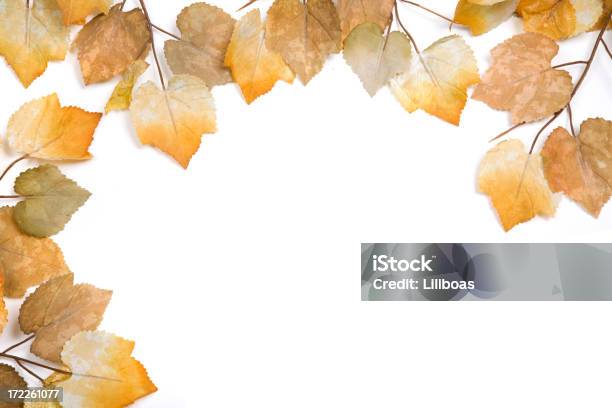 Folhas De Outono - Fotografias de stock e mais imagens de Figura para recortar - Figura para recortar, Natureza, Novembro