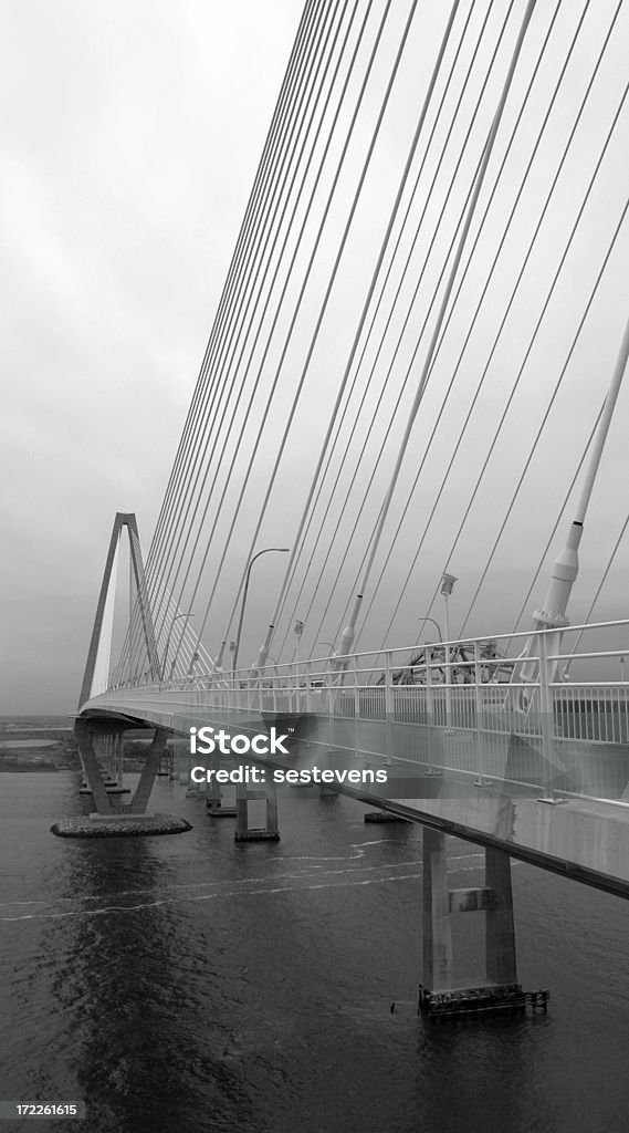 Cooper River Bridge - Zbiór zdjęć royalty-free (Architektura)