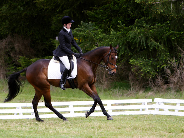 istock Dressage Competition 172261810