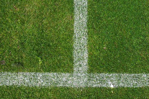 Chalk marking the service 'T' on a lawn tennis court.  This traditional sort of marking is where chalk truly can 'fly up', to parapharase the famous / infamous John McEnroe.