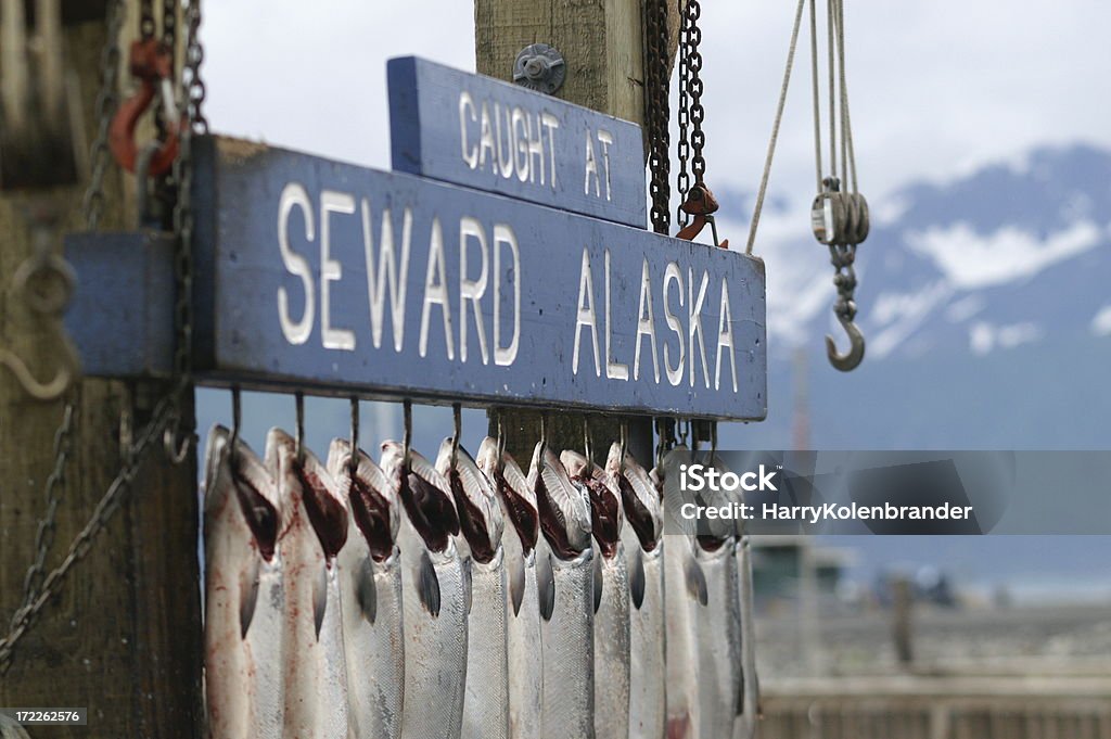 Salmon fishing in Alaska "KONICA MINOLTA DIGITAL CAMERA D7 Location: Seward, Alaska Photo taken: zoom Size: 3008 a 2000" Seward - Alaska Stock Photo