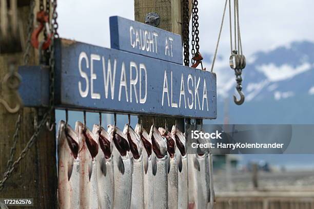 Salmon Fishing In Alaska Stock Photo - Download Image Now - Seward - Alaska, Alaska - US State, Fishing