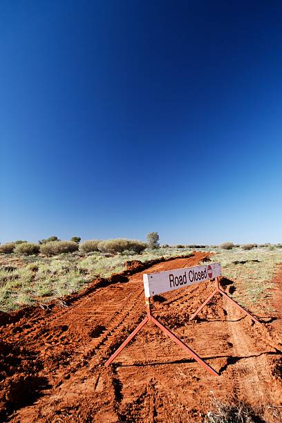 route barrée - emu australia northern territory outback photos et images de collection