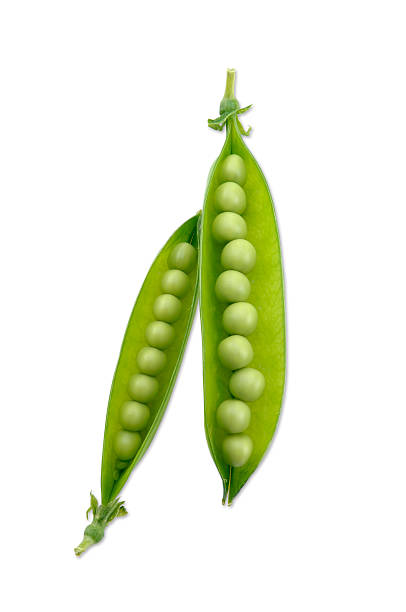 Peas and Pods with Path Peas on white with clipping path. green pea photos stock pictures, royalty-free photos & images