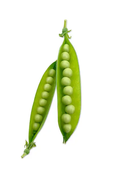 Photo of Peas and Pods with Path