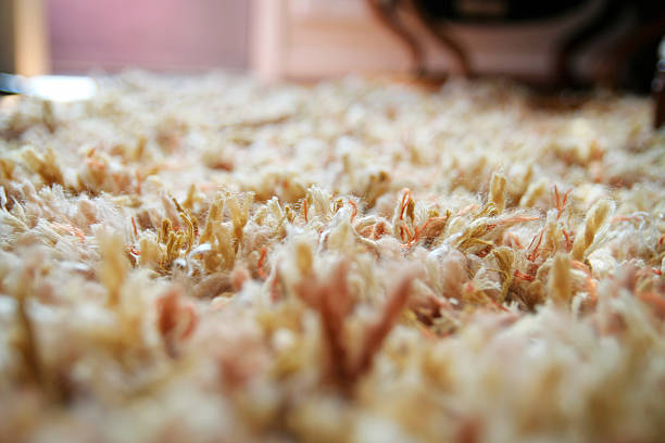 Vintage Shag Carpet 1960's Style Narrow depth of field shot of a shag carpet.  Horizontal with copy space. shag rug stock pictures, royalty-free photos & images