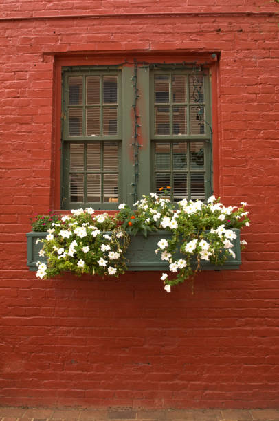 istock Window Box with flowers on Red Brick Building 172263803
