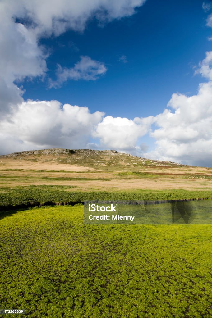 Paisaje de las Islas Malvinas - Foto de stock de Agricultura libre de derechos