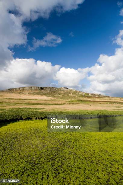 Ilhas Falkland Paisagem - Fotografias de stock e mais imagens de Agricultura - Agricultura, Ao Ar Livre, Azul