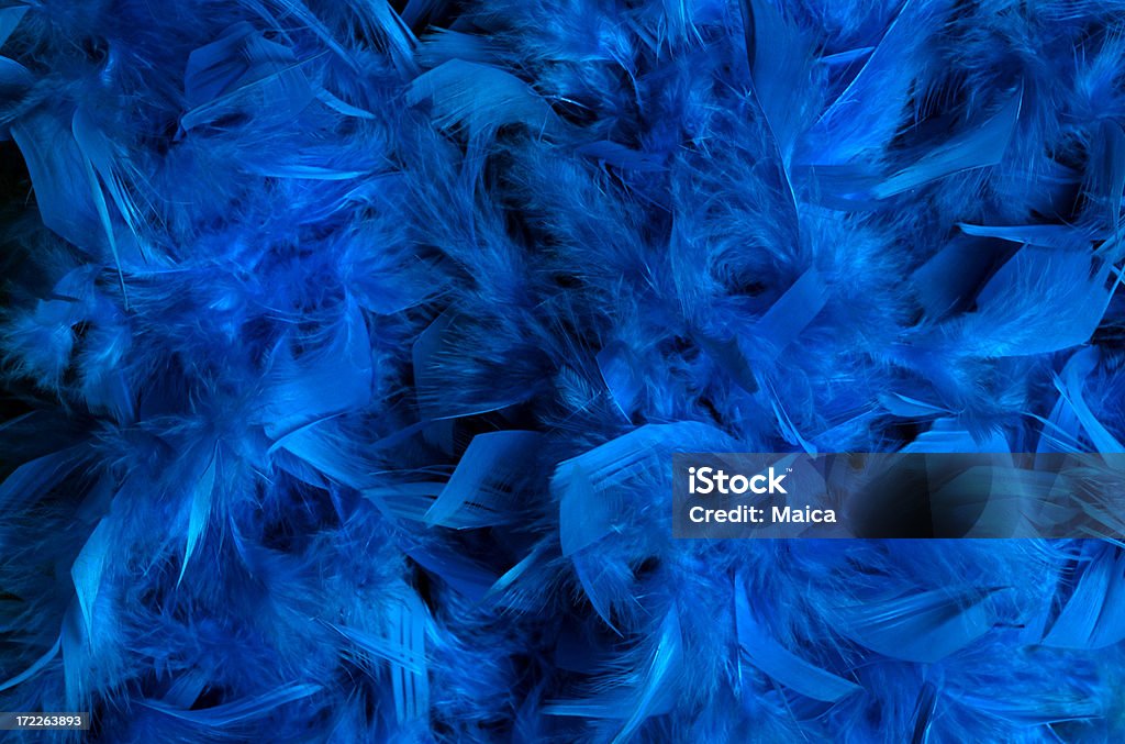 Blu intenso - Foto stock royalty-free di Piuma