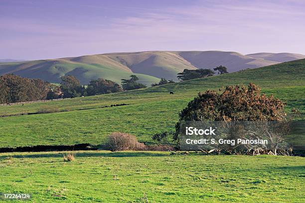 Foto de Rural Da Califórnia e mais fotos de stock de Azul - Azul, Califórnia, Campo