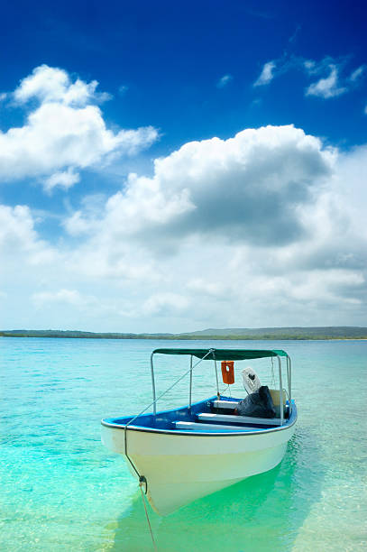 istock Turquoise waters of a white sand Tropical island beach 172264497