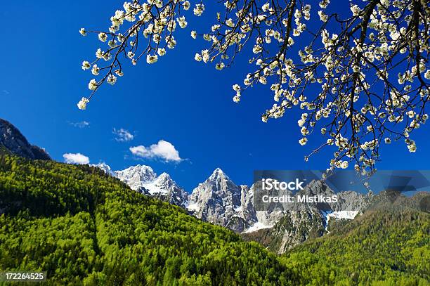 Primavera Tempo Perfeito - Fotografias de stock e mais imagens de Alpes Europeus - Alpes Europeus, Ao Ar Livre, Azul