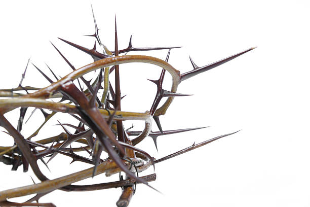 istock Bible Series Crown of Thorns (with copyspace) 172264582