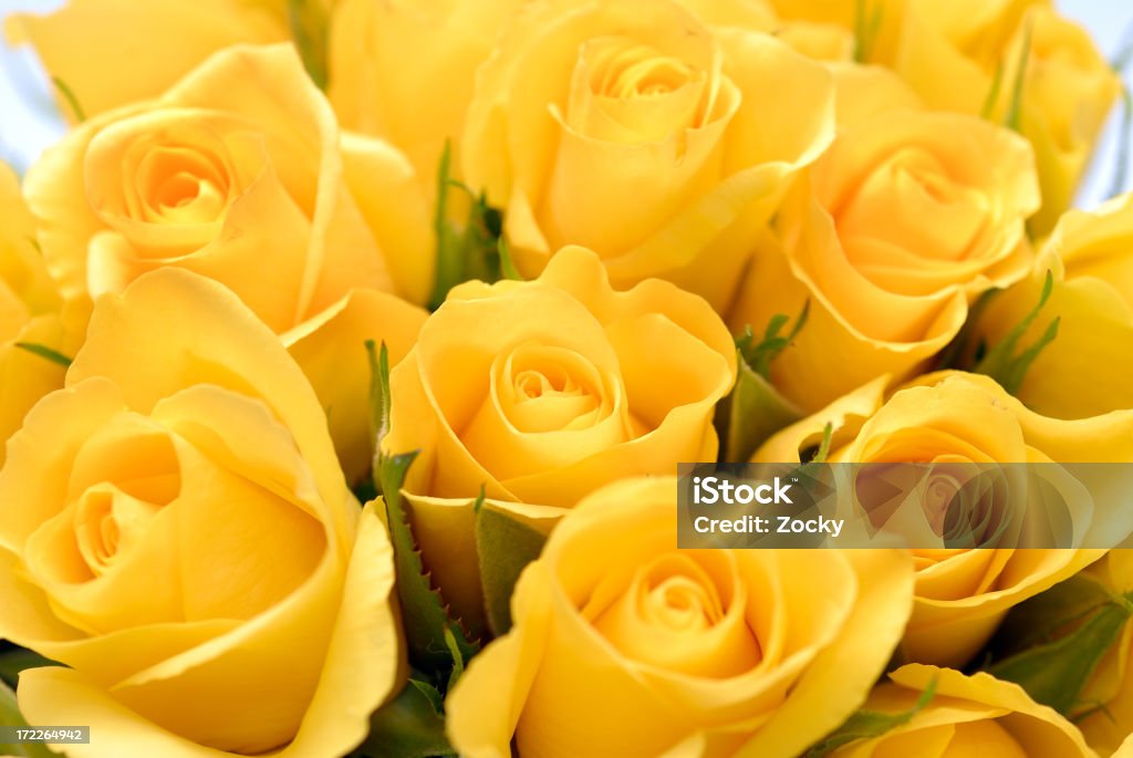 Close-up image of yellow rose bouquet bouquet of flowers Rose - Flower Stock Photo