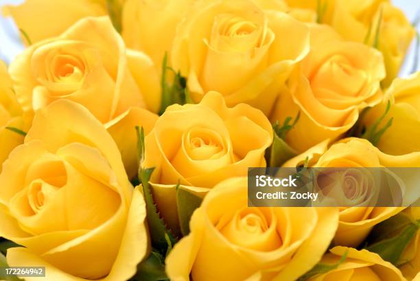 Closeup Image Of Yellow Rose Bouquet Stock Photo - Download Image Now - Rose - Flower, Yellow, Bouquet