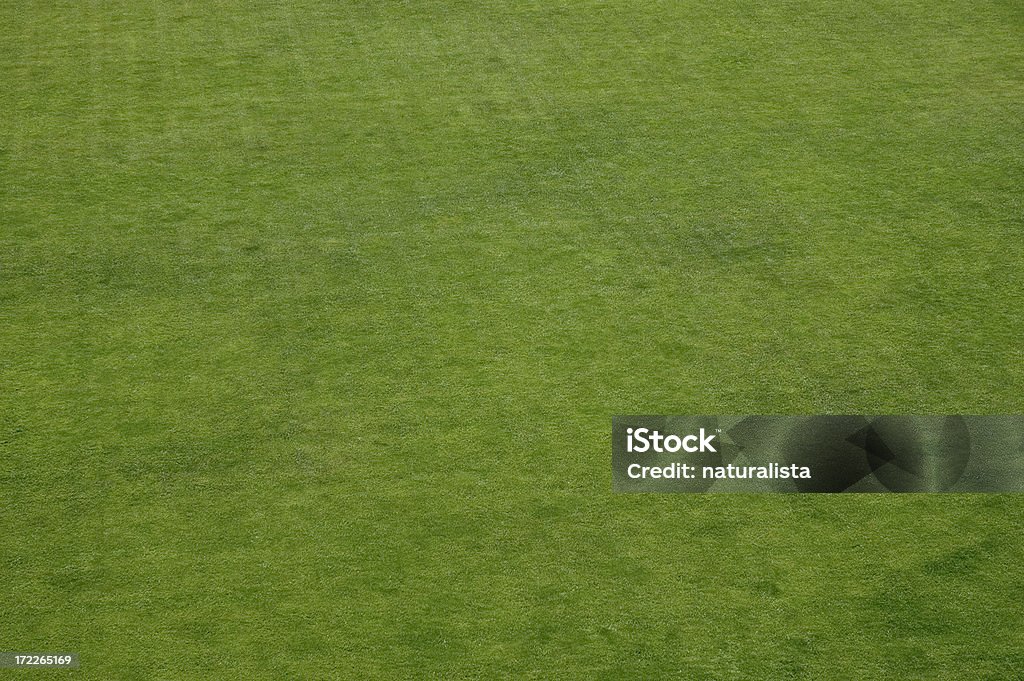 Fondo de hierba - Foto de stock de Vista elevada libre de derechos