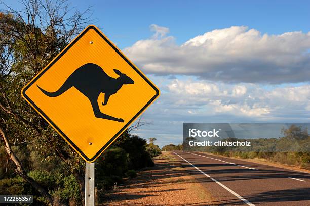 Foto de Skippy Aviso e mais fotos de stock de Amarelo - Amarelo, Animal, Austrália