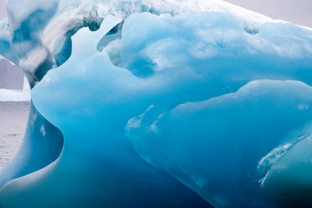 istock Iceberg Detail Antarctica VII 172265477