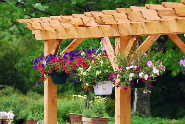 Garden center with wooden boards and flower pots stock photo