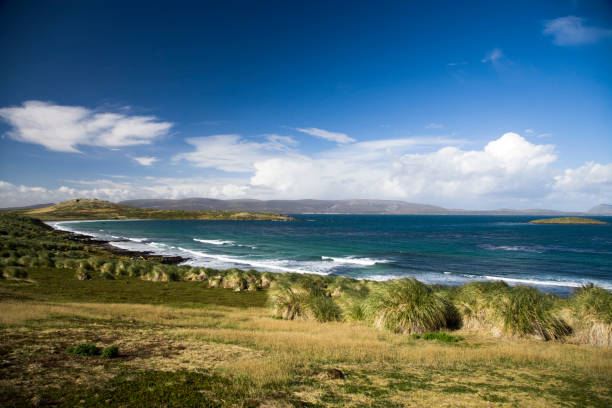 hermosa vista a la costa - islas malvinas fotografías e imágenes de stock