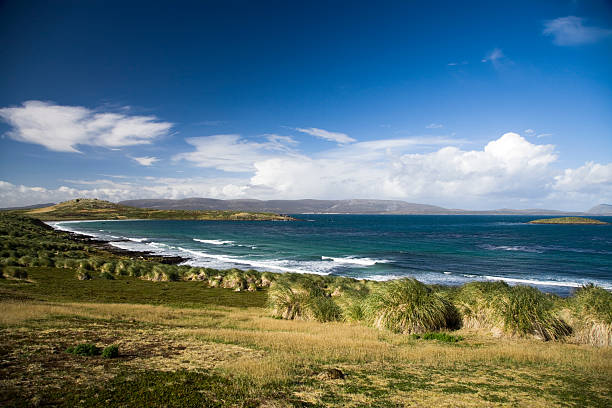 Beautiful Coast View "view on beautiful coastline of the Falklands Islands, untouched nature and an amazing blue sky and sea." falkland islands photos stock pictures, royalty-free photos & images