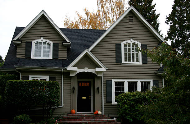 istock Army-green house with a black rooftop and bushes at front 172266169