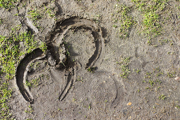 Overlapping hoof prints in soft mud Spring-like warmth after winter cold leaves the ground receptive to the passing hooves of four-legged wanderers on this bridle path. Richmond, Surrey, UK. Some more photographs with puddles and mud: . richmond park stock pictures, royalty-free photos & images