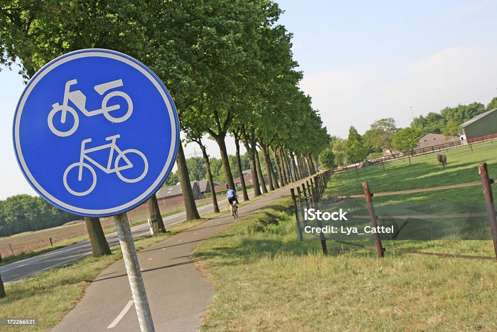 Bicicleta caminho # 1 - Royalty-free Atrás Foto de stock