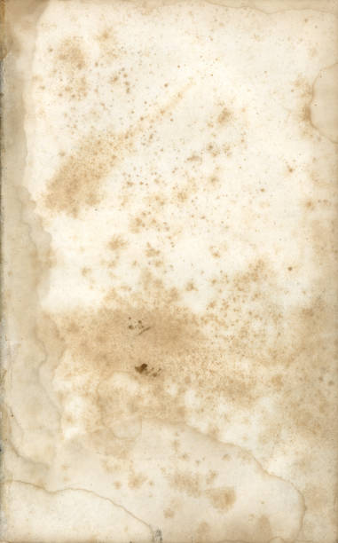 istock Grungy Antique Paper 172266554