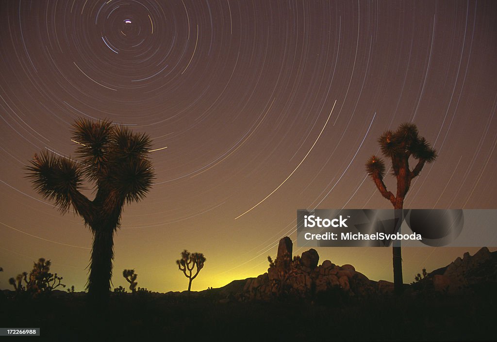 Árvore de Joshua Startrails - Royalty-free Califórnia Foto de stock