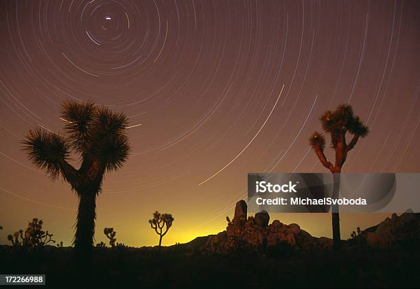 Árvore De Joshua Startrails - Fotografias de stock e mais imagens de Califórnia - Califórnia, Conceito, Estrela