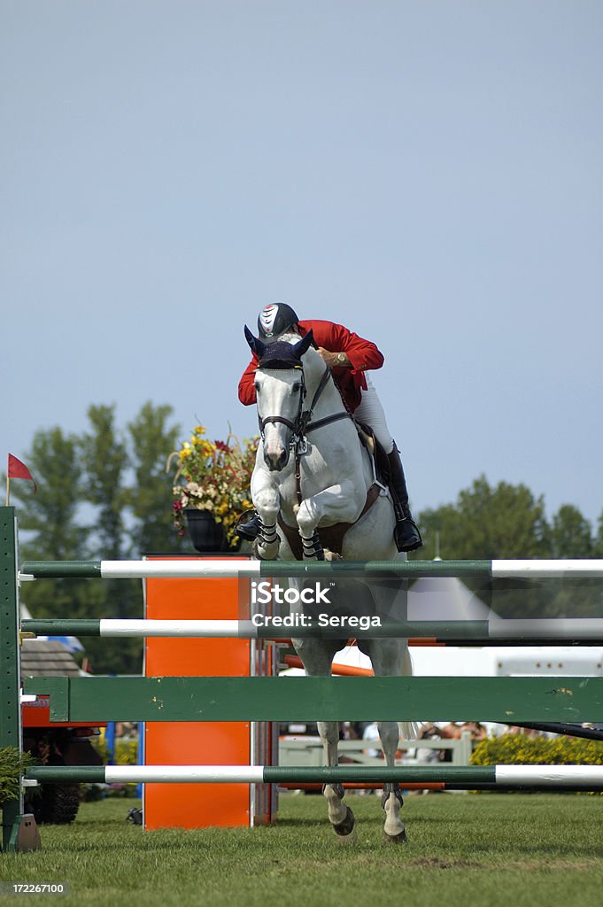 Steeplechase - Photo de Concours hippique de sauts libre de droits