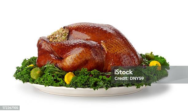 Klasyczne Turcja - zdjęcia stockowe i więcej obrazów Indyk - Białe mięso - Indyk - Białe mięso, Święto Dziękczynienia, Bez ludzi