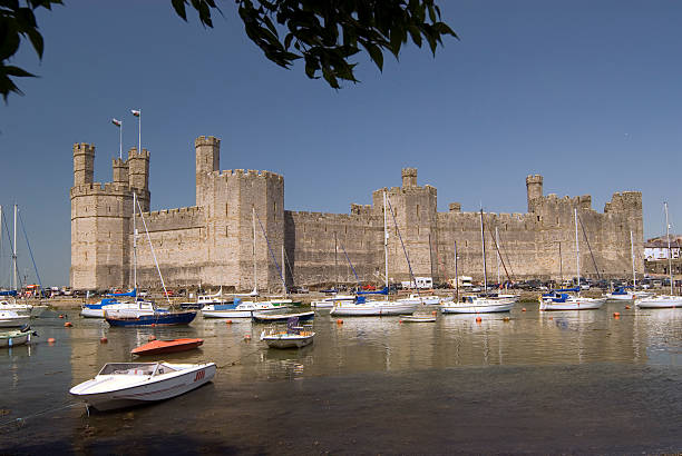 카나번 성 - caenarvon castle caernarfon castle wales 뉴스 사진 이미지