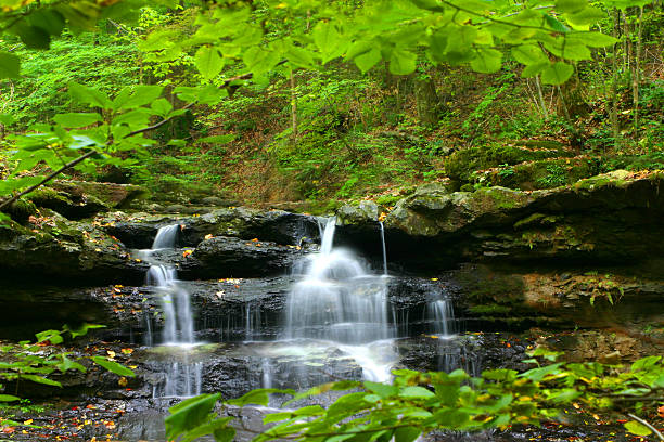 cascata di primavera - north cascades national park cascade range river waterfall foto e immagini stock