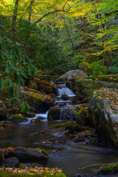 istock Cascading creek in fall in Virginia 1722680163