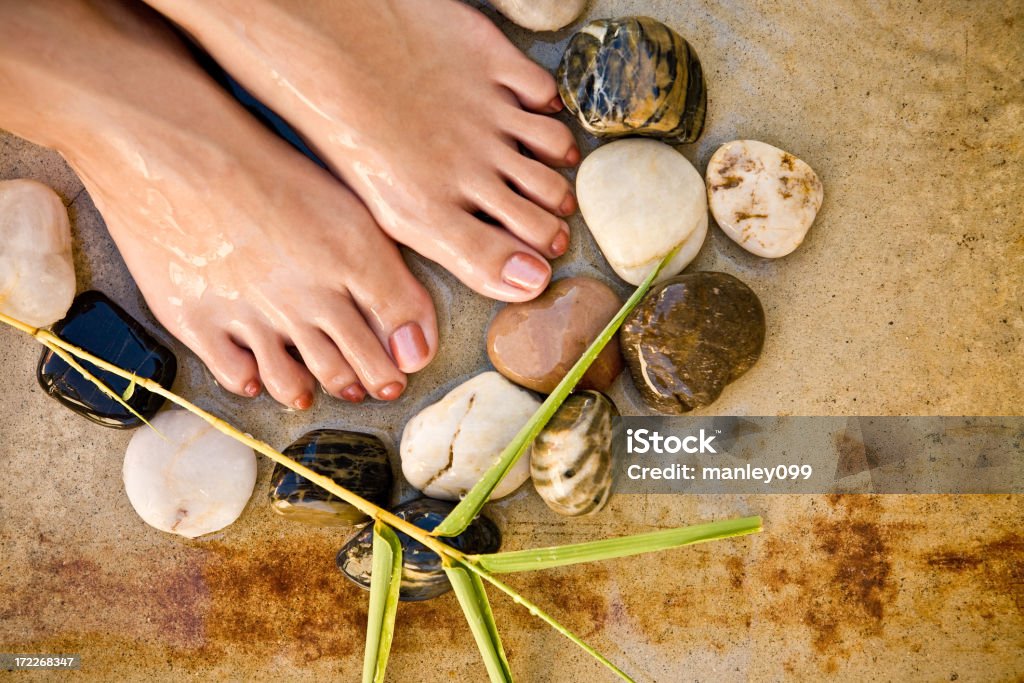 foot spa with stones and plant (no shower)  Adult Stock Photo