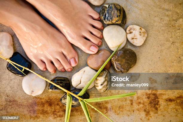 Foot Spa With Stones And Plant Stock Photo - Download Image Now - Adult, Ankle, Bamboo - Material