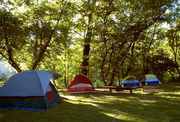 Camping amanecer - foto de stock