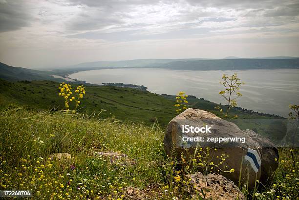 Galilea Widok - zdjęcia stockowe i więcej obrazów Wzgórza Golan - Wzgórza Golan, Izrael, Jezioro Tyberiadzkie