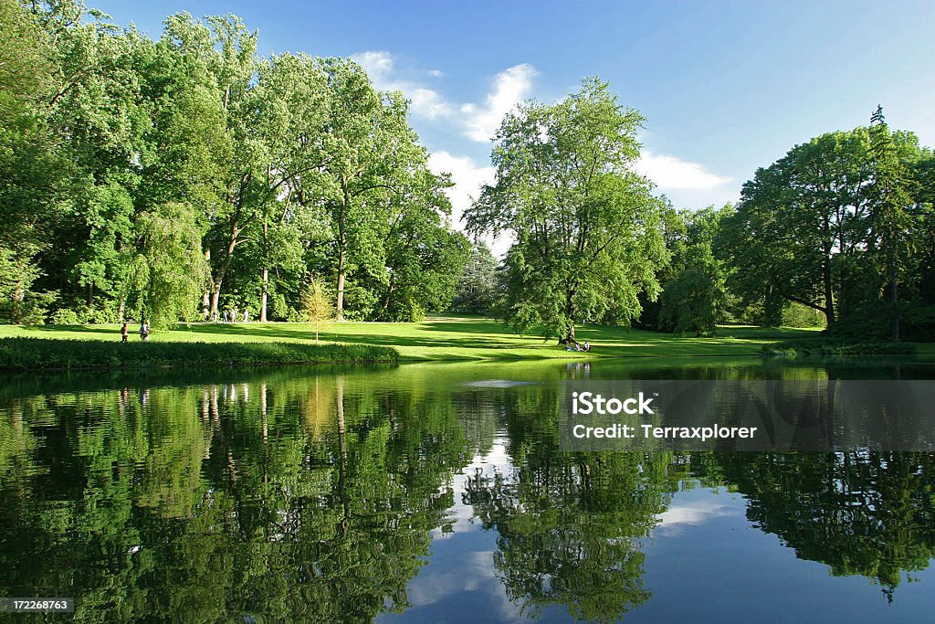 Reflet des arbres le long du lac - Photo de Pennsylvanie libre de droits