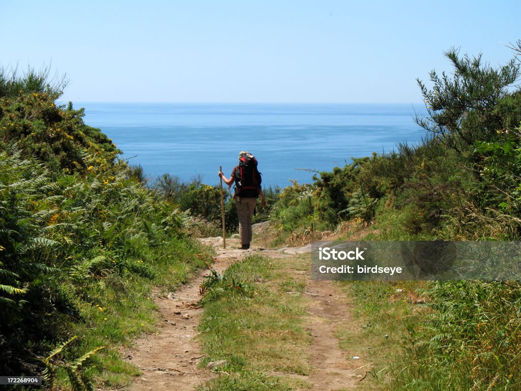 Hiking na Ocean - Zbiór zdjęć royalty-free (Bez ludzi)