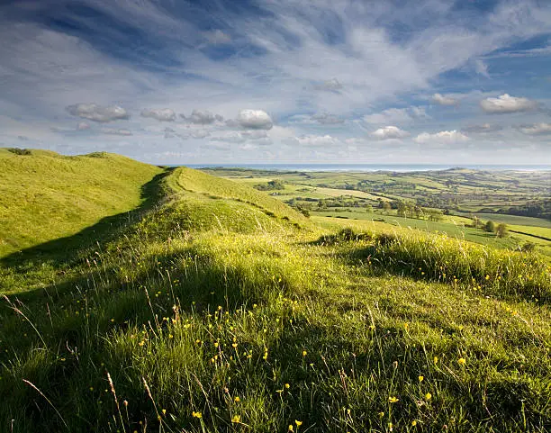 "Late evening sunshine illuminates the Dorset landscape viewed from Eggardon Hill, a 2500 year old Iron Age hill fort."