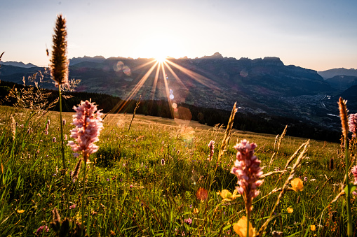 Sunrise over mountains and lush meadow